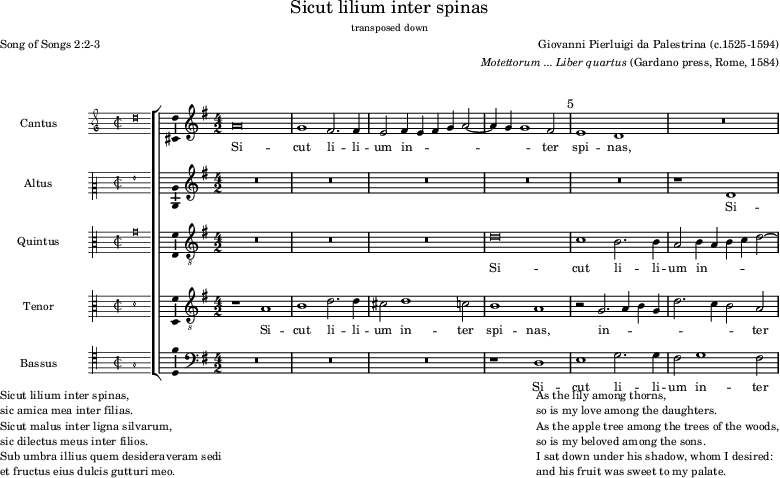 preview of first system of score